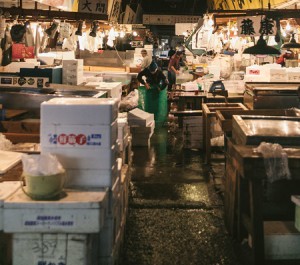 築地市場水産部